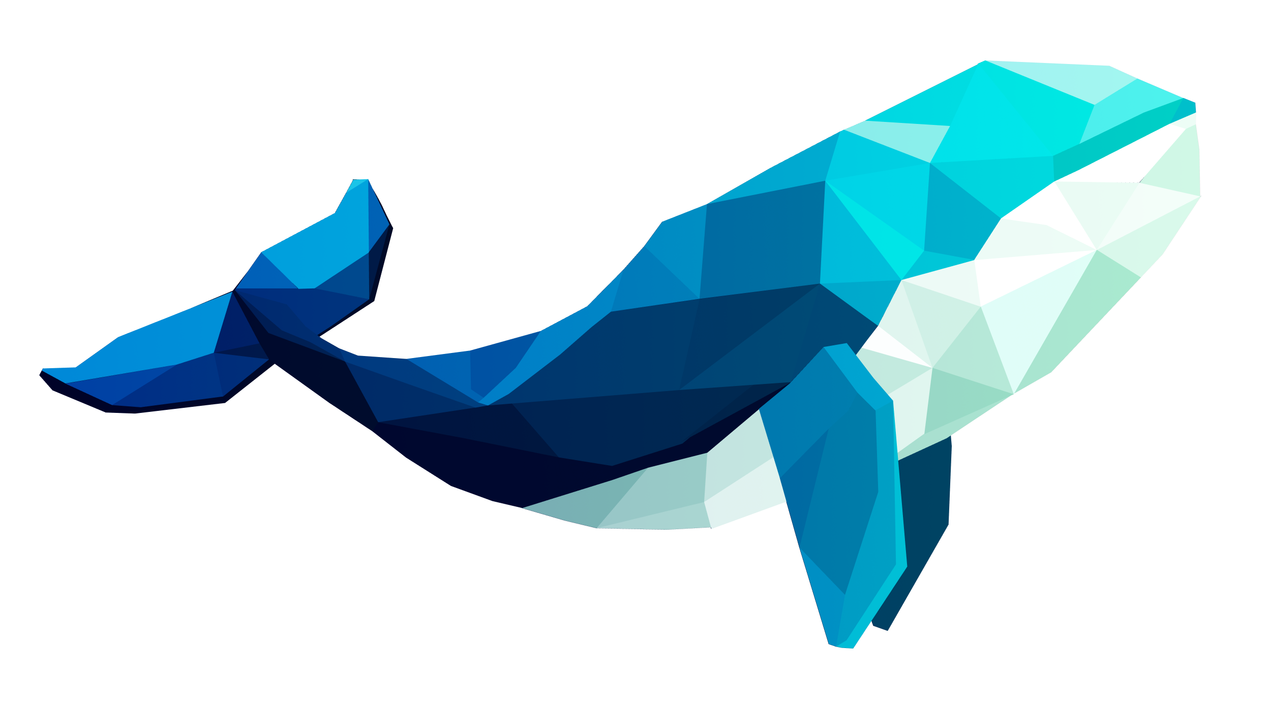 HodlHub Whale Logo